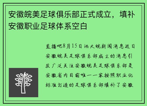 安徽皖美足球俱乐部正式成立，填补安徽职业足球体系空白